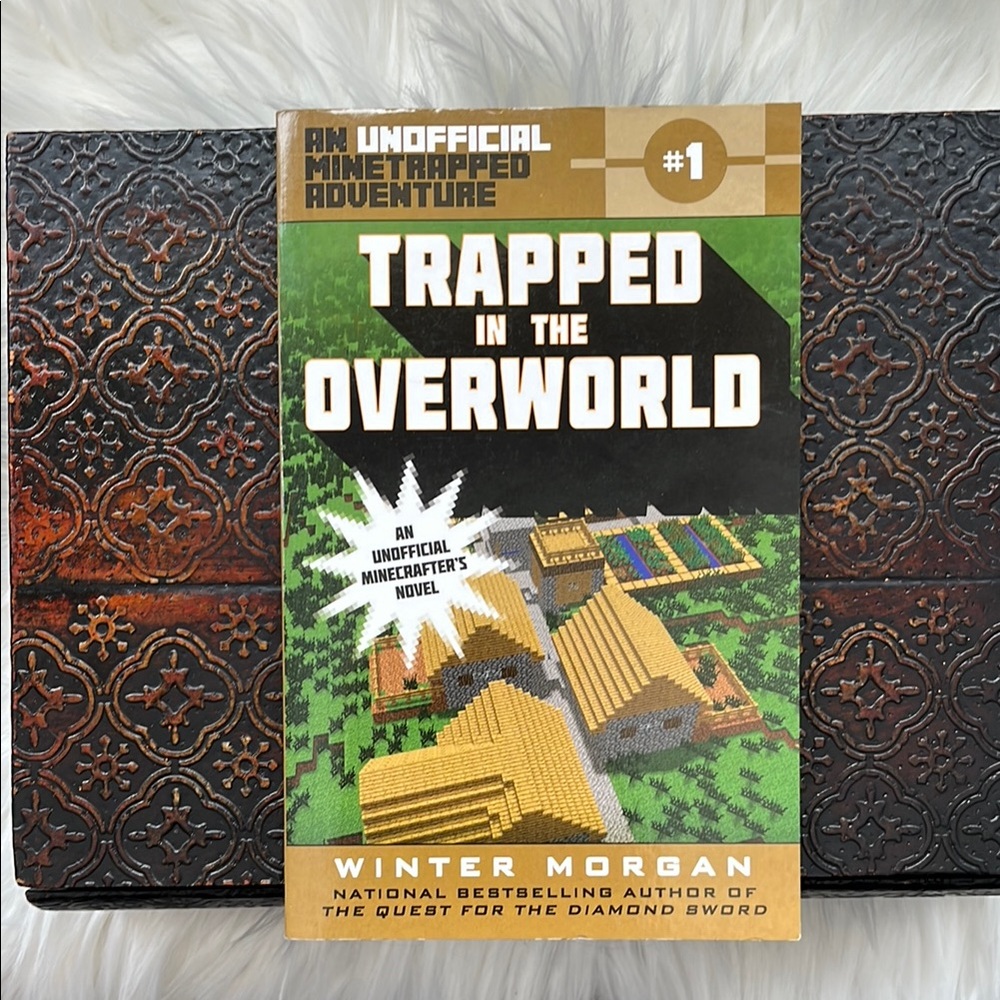 Trapped in the Overworld Book